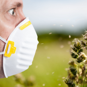 Аллергочип ALEX2® (Allergy Explorer) 